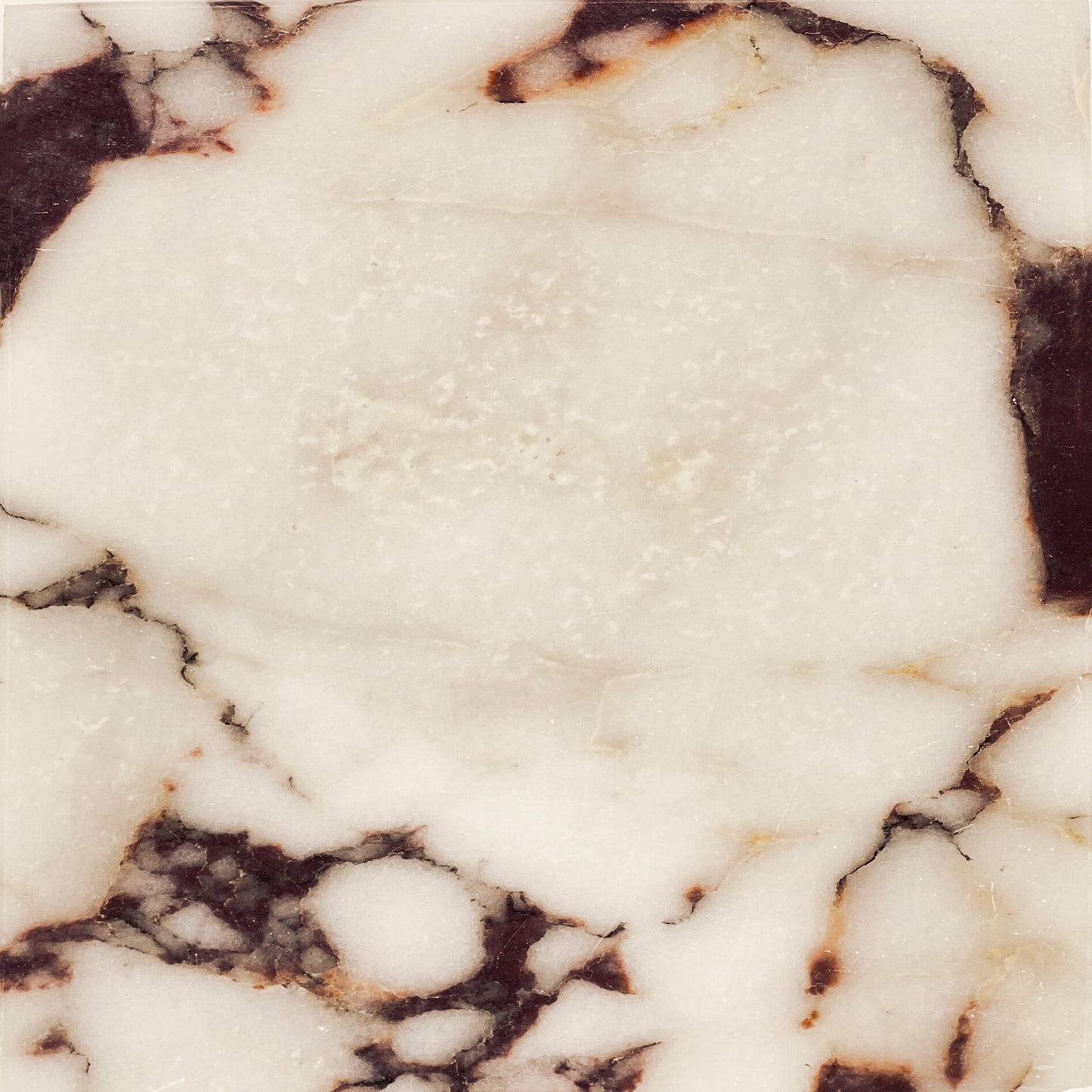 Calacatta Viola Marble