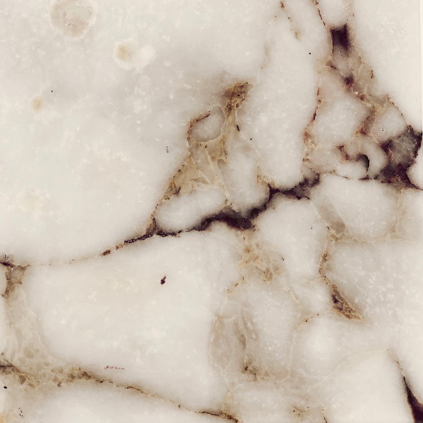 Calacatta Viola Marble