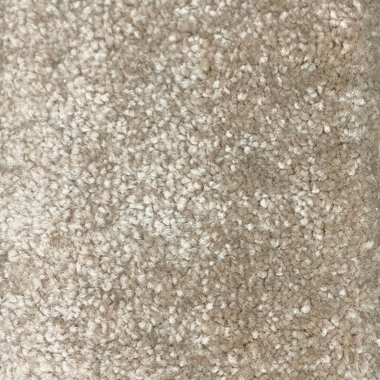 Carpet - Taupe Mono Color (10mm)