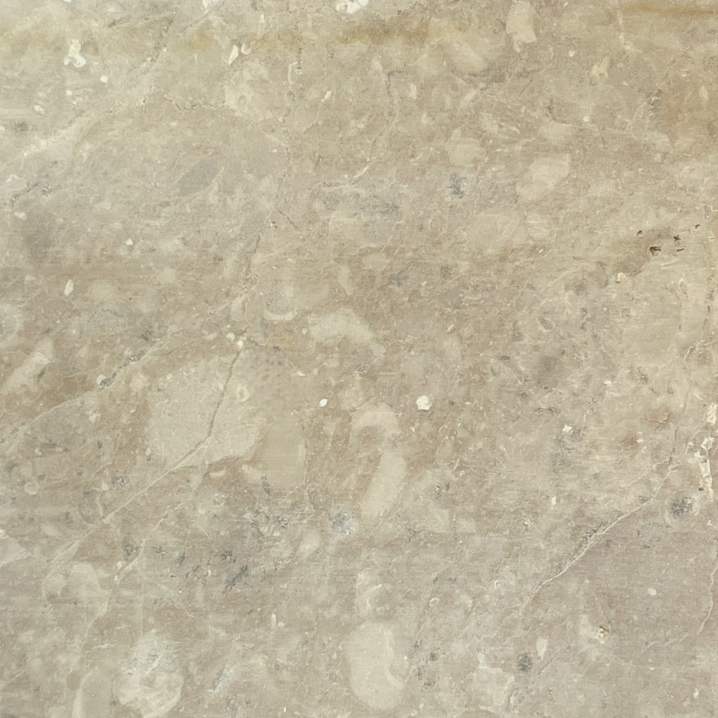 Bianco Avorio Limestone