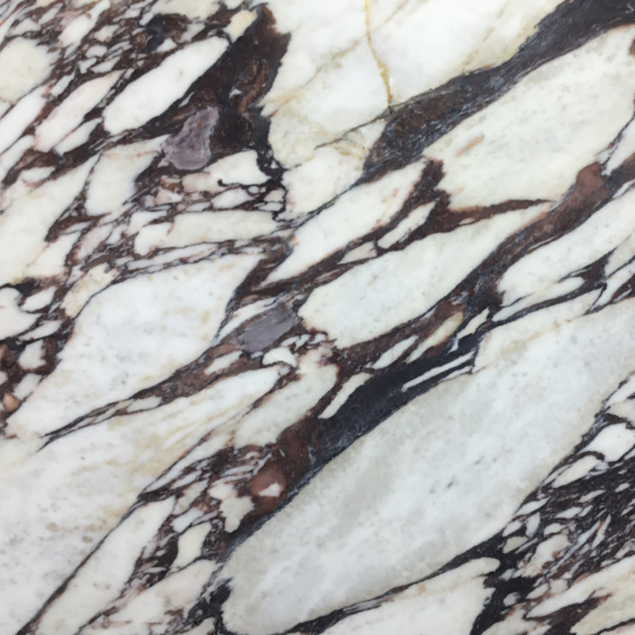 Calacatta Viola Marble – SAMPLES